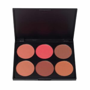 إيلفا مجموعة أحمر الخدود تيرا تشيك 6 ألوان-2