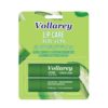 مرطب الشفاه بالصبار فولاري - قطعتين