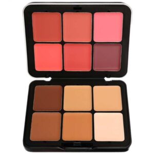 كونتور وأحمر خدود من 12 لون متعدد الألوان